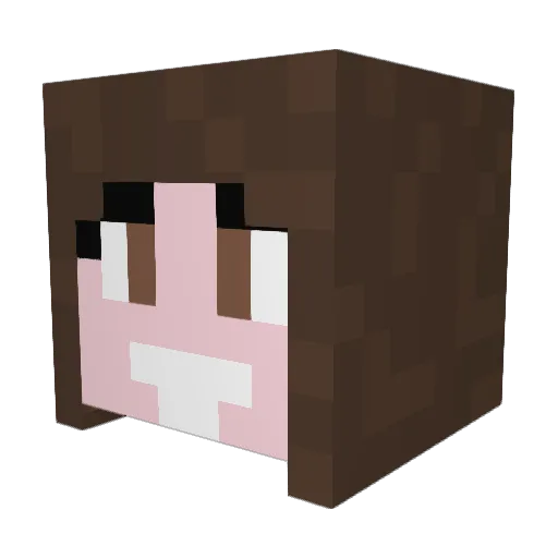 Moonditch Minecraft avatar head, 3D render