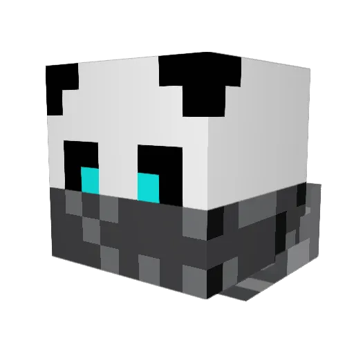 Moondog669 Minecraft avatar head, 3D render