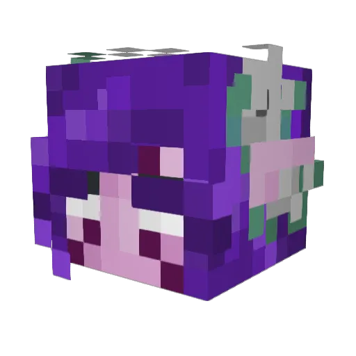 Moondreithis Minecraft avatar head, 3D render