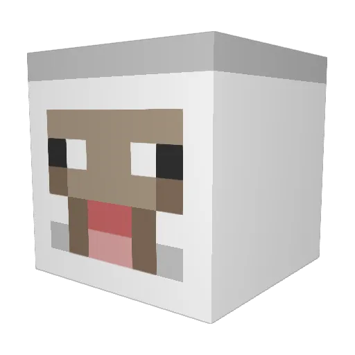 Moonfall713 Minecraft avatar head, 3D render