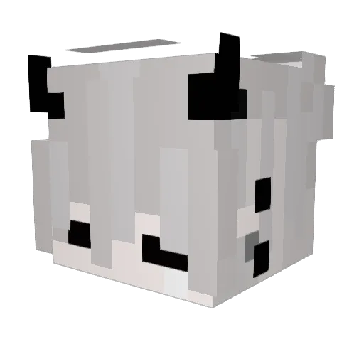 Moonfalll Minecraft avatar head, 3D render