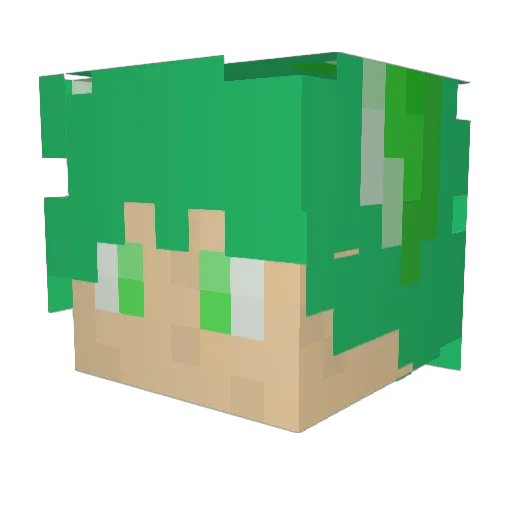 Moonflake9969 Minecraft avatar head, 3D render