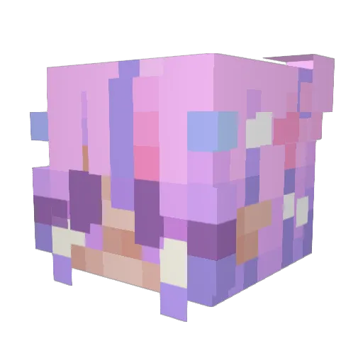 Moonflower1256 Minecraft avatar head, 3D render