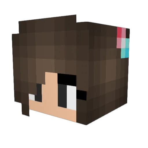 Moonfox501 Minecraft avatar head, 3D render