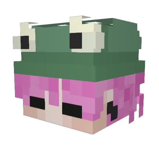 Moonfrogs Minecraft avatar head, 3D render