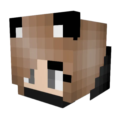 Moongaze767 Minecraft avatar head, 3D render