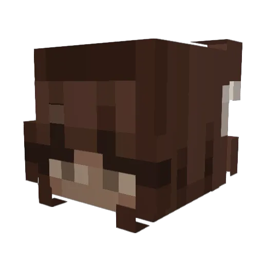 Moonies_garden Minecraft avatar head, 3D render