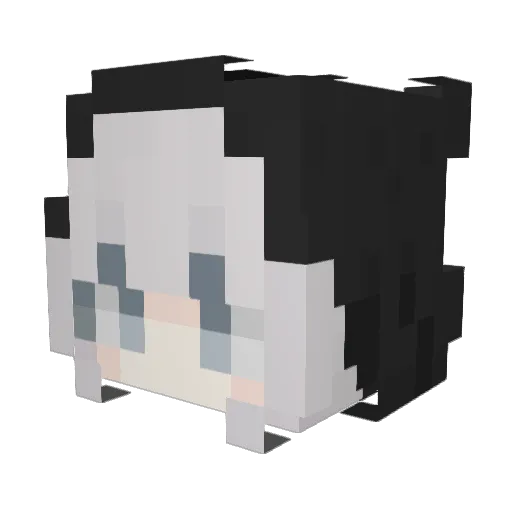 Moonight0 Minecraft avatar head, 3D render