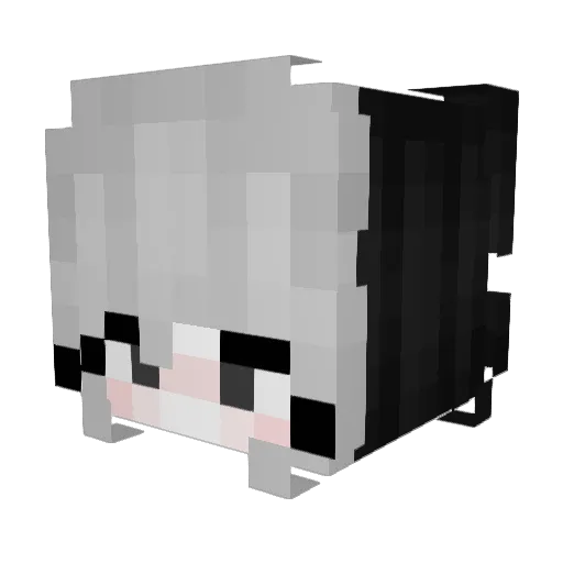 Mooniray Minecraft avatar head, 3D render
