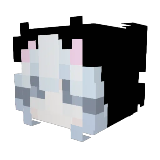 Moonligh1 Minecraft avatar head, 3D render