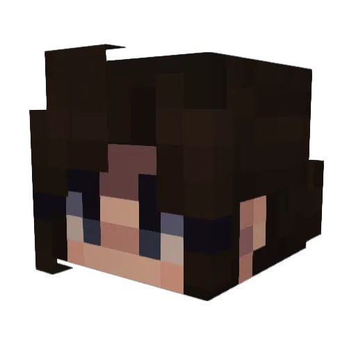 Moonlight0806 Minecraft avatar head, 3D render