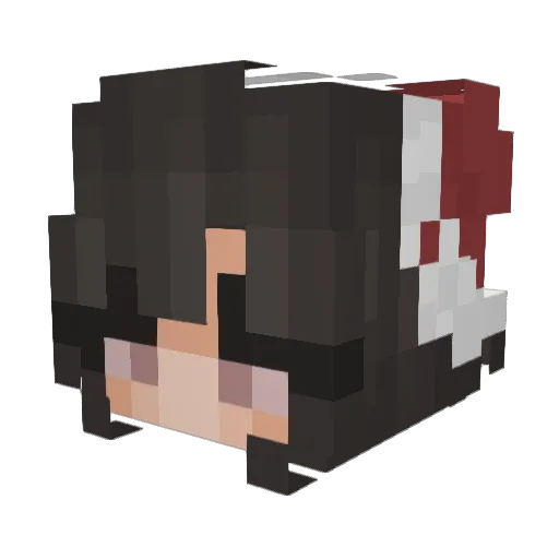 MoonlightCat74 Minecraft avatar head, 3D render