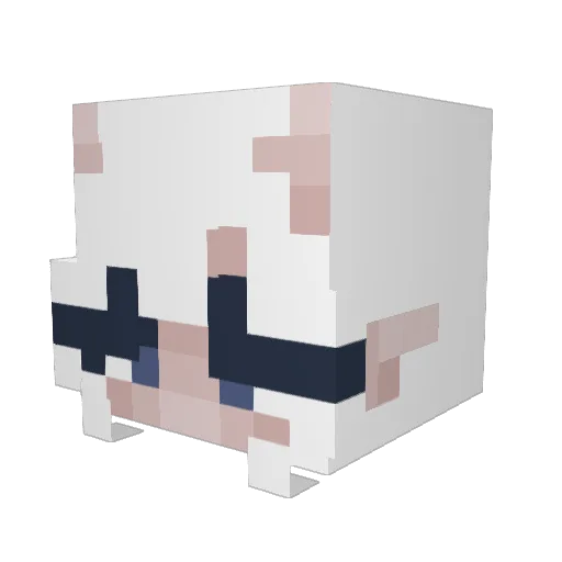MoonlightMizuki Minecraft avatar head, 3D render