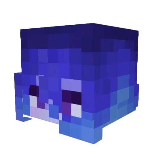 MoonlightS2004 Minecraft avatar head, 3D render