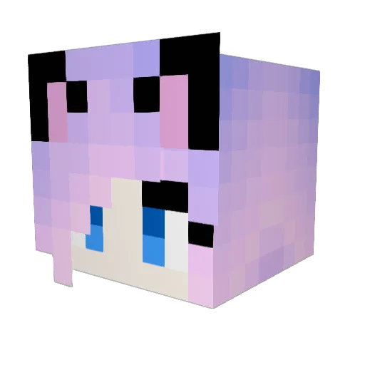 Moonlight_Meow Minecraft avatar head, 3D render