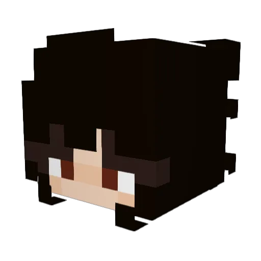 Moonlight_Moth Minecraft avatar head, 3D render