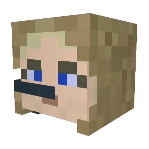 Moonlightcat33 Minecraft avatar head, 3D render