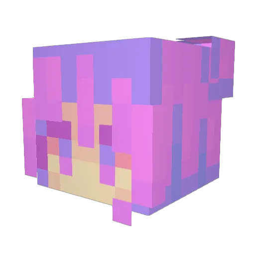 Moonlighter Minecraft avatar head, 3D render