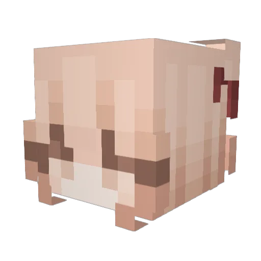 MoonlitFox Minecraft avatar head, 3D render