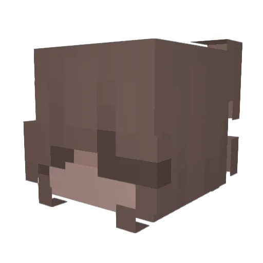 MoonlitYuki Minecraft avatar head, 3D render