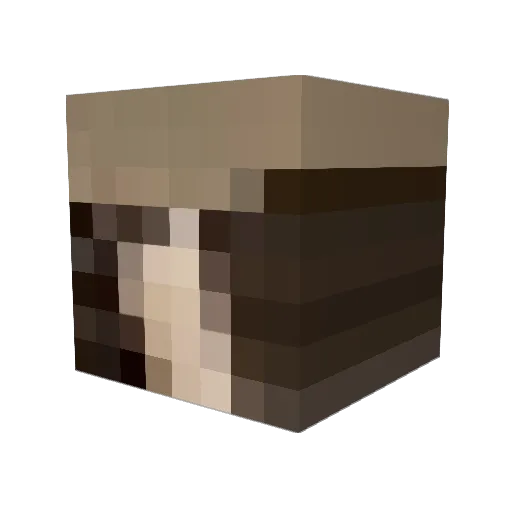 Moonlit_Umbreon1 Minecraft avatar head, 3D render