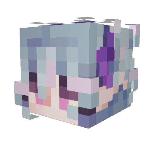 Moonrakerr Minecraft avatar head, 3D render