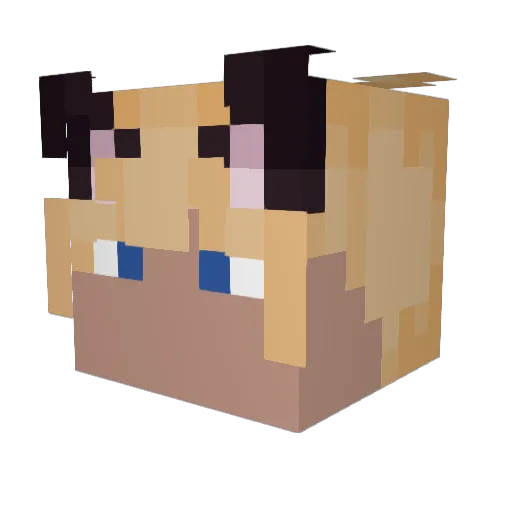 MoonrayWolf Minecraft avatar head, 3D render