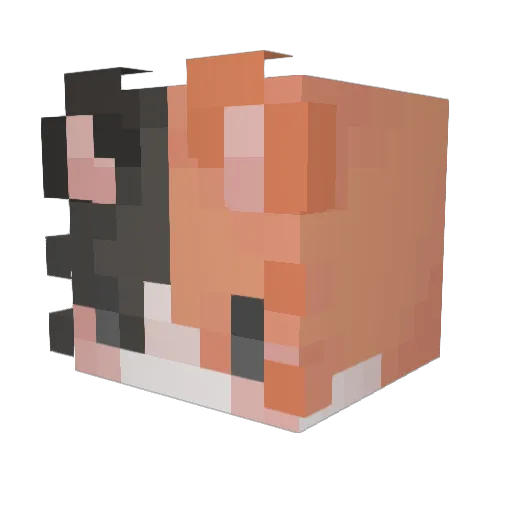 Moonshadow125 Minecraft avatar head, 3D render