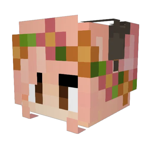 Moonsong2003 Minecraft avatar head, 3D render