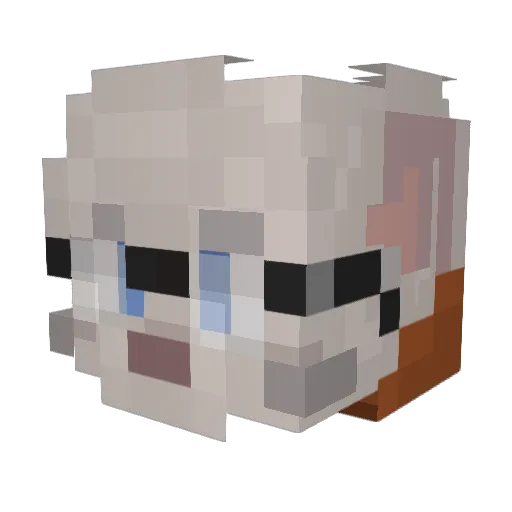 Moonstone1017 Minecraft avatar head, 3D render