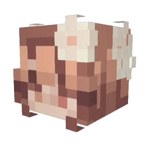 Moonstone3449 Minecraft avatar head, 3D render