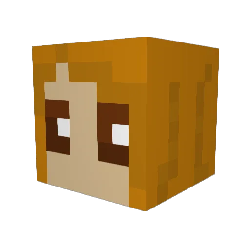 Moonsx21 Minecraft avatar head, 3D render