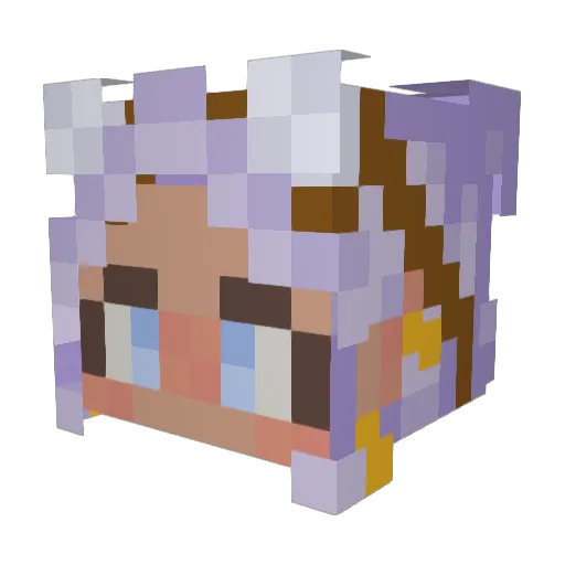 Moonunit12 Minecraft avatar head, 3D render