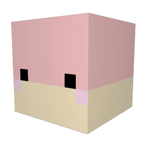 Moonwatcher1207 Minecraft avatar head, 3D render
