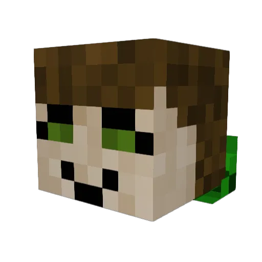 Moonwolf3800 Minecraft avatar head, 3D render