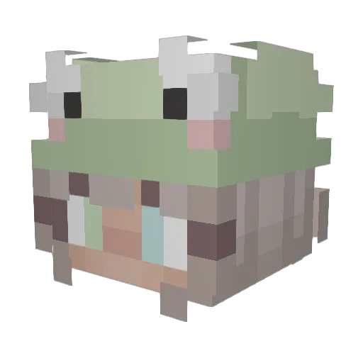 Moonwolves1 Minecraft avatar head, 3D render