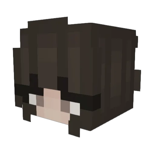 Moonwxter Minecraft avatar head, 3D render