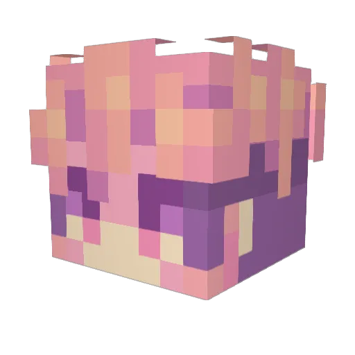 Mooopyy Minecraft avatar head, 3D render