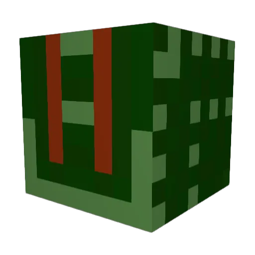 MoosTheWarrior Minecraft avatar head, 3D render