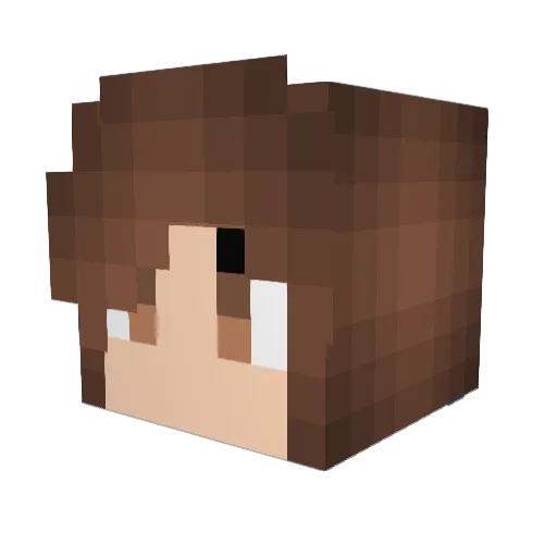 Moosachi53 Minecraft avatar head, 3D render