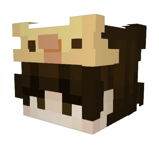 Moose1201 Minecraft avatar head, 3D render