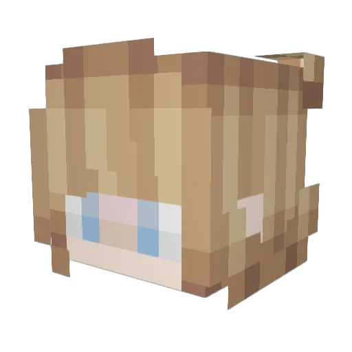 Moose2837 Minecraft avatar head, 3D render