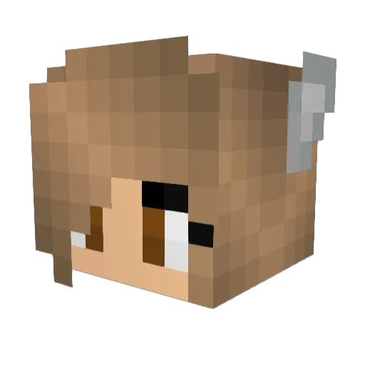 Moose5166 Minecraft avatar head, 3D render