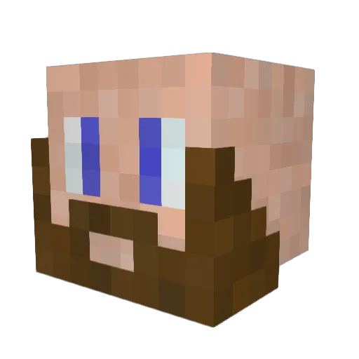 Moose9560 Minecraft avatar head, 3D render