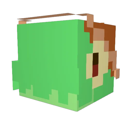 Moose_280 Minecraft avatar head, 3D render