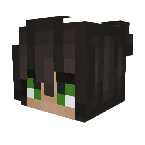 Moose_The_Gaming Minecraft avatar head, 3D render