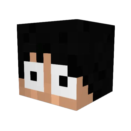 Mooseacorn45 Minecraft avatar head, 3D render