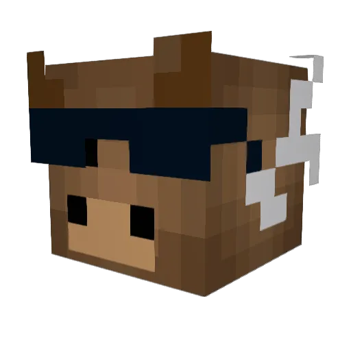 Mooser00 Minecraft avatar head, 3D render
