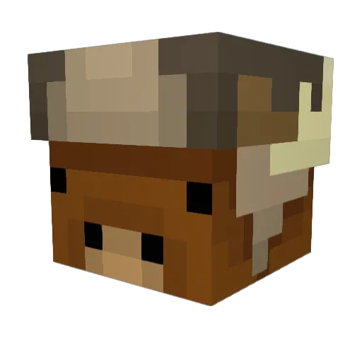 Mooseslayer7 Minecraft avatar head, 3D render