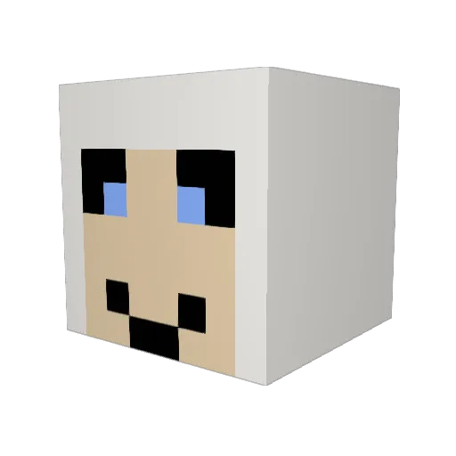 MooseyGoosey Minecraft avatar head, 3D render